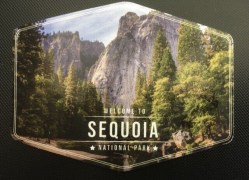 Sequoia