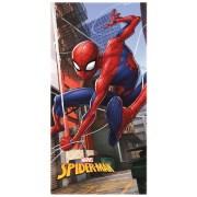 Spider1